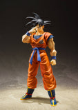 Bandai S.H.Figuarts DRAGON BALL Z - Son Goku (A Saiyan Raised on Earth)